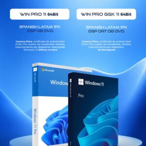WINDOWS 11 PRO GGK