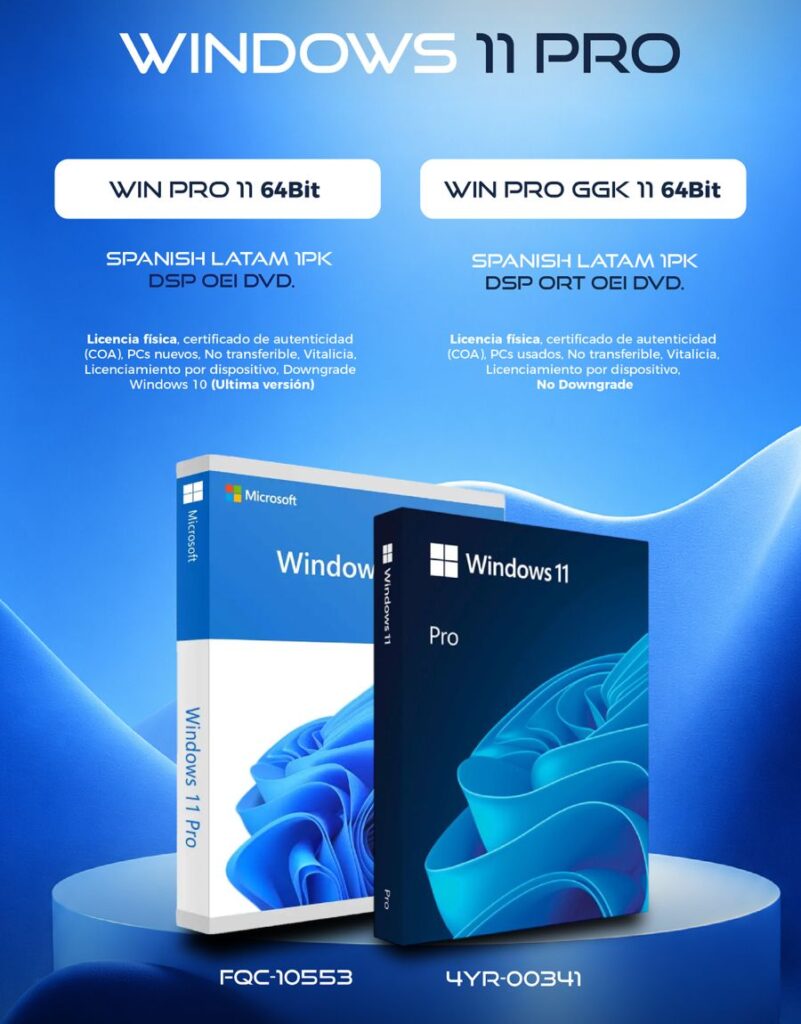 WINDOWS 11 PRO GGK